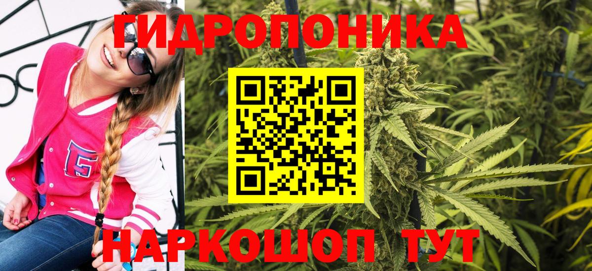 Бошки Шишки SATIVA & INDICA  Марихуана ГИДРОПОН  Вход с VPN  Бошки марихуана AK-47  Тара 